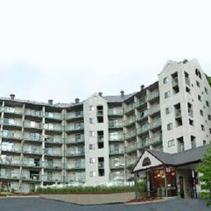 Olde Gatlinburg Place exterior